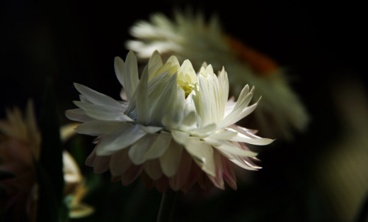 770791 (a): :2046x1228